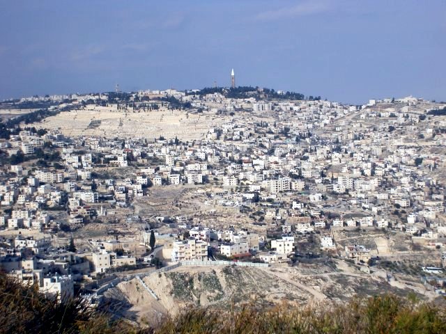 Palestinian Area